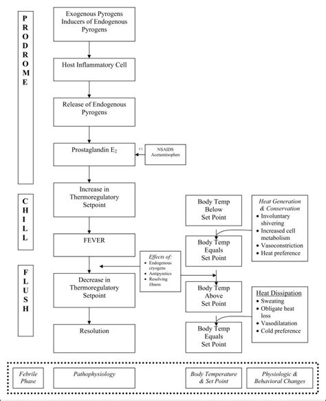 Figure. The febrile response. | Download Scientific Diagram