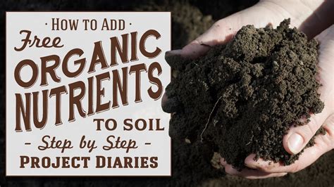 How to: Add Free Organic Nutrients to Soil (A Complete Guide to Reusing ...