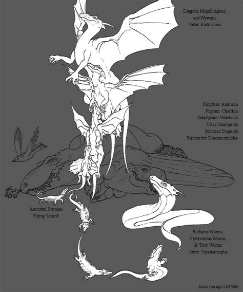 Draconian Evolution by Speculative-Zoology on DeviantArt