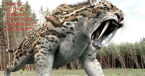 TOP 10 EXTINCT ANIMALS THAT WILL BE BROUGHT BACK