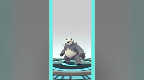 Shiny Pancham Evolution In Pokemon Go #pokemongo #pokemongoshorts - YouTube