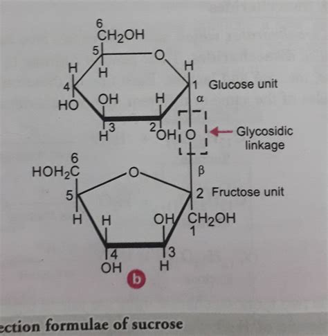 Sucrose Fisher Projection