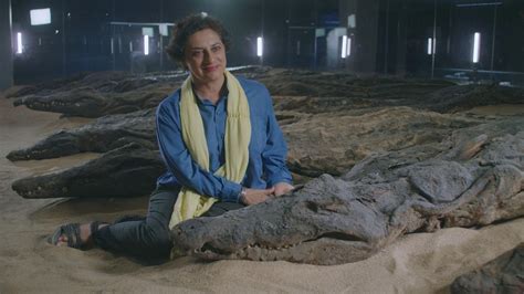 Sacred Crocodile Mummies Reveal the Climate of Ancient Egypt | Secrets ...