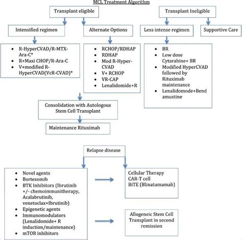 VA Has More Options as Treatment for Mantle Cell Lymphoma Expands Rapidly - U.S. Medicine