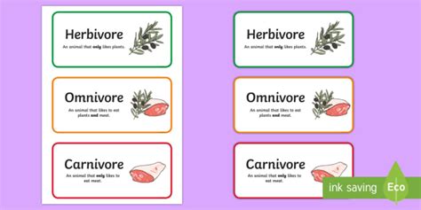 Herbivores Omnivores Carnivores Banner (Teacher-Made)