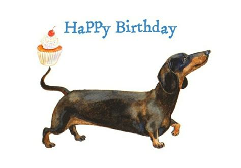 Birthday | Happy birthday dachshund, Happy birthday friend funny, Happy birthday greetings friends