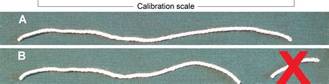 How long is a piece of string? | VESMA.COM