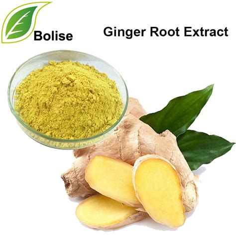 Ginger Root Extract, Zingiberis Recens Rhizoma Extract Suppliers,Manufacturers from Bolise