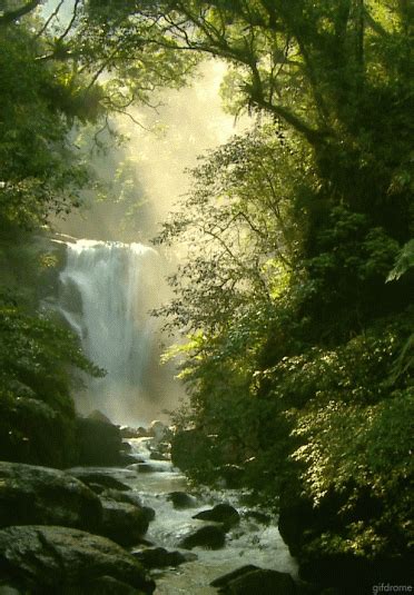 nice waterfall Beautiful Waterfalls, Beautiful Landscapes, Amazing Nature, Beautiful Gif ...