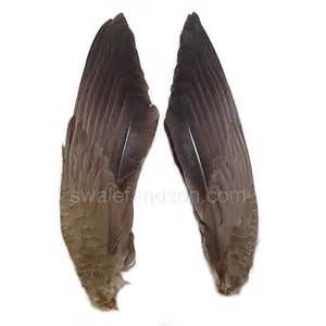 Wholesale Goose Feathers | Goose Coquille | Goose Pointer Feathers ...