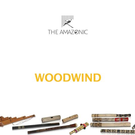 Woodwinds Bundle | Woodwind Sound Effects Library | Asoundeffect.com