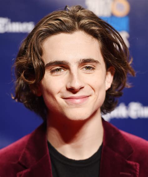 Why Timothée Chalamet's Hair Has Everyone Talking | Timothee chalamet ...