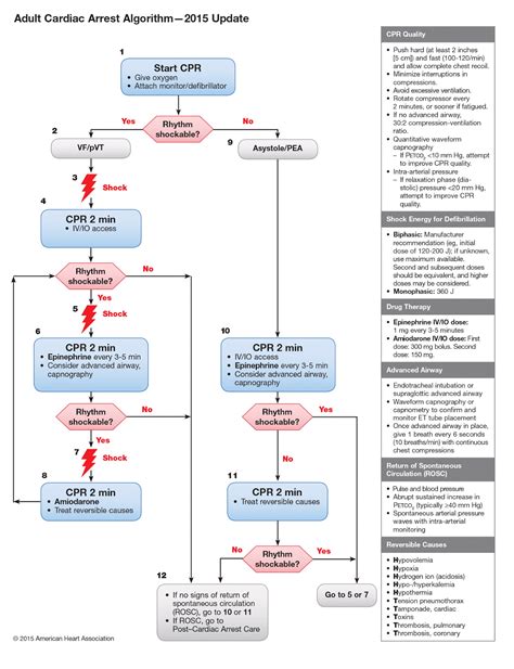 ER goldbook: ACLS