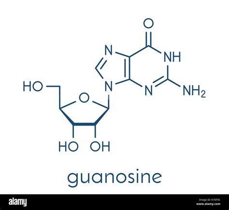 Guanosine triphosphate hi-res stock photography and images - Alamy