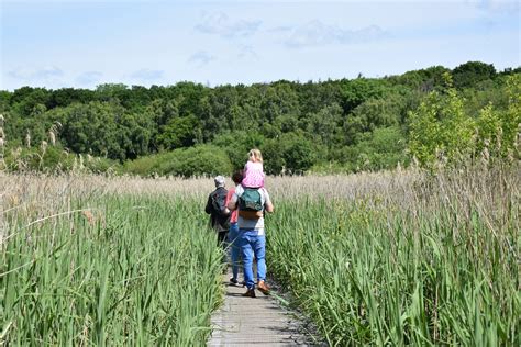 Gosforth Nature Reserve - Natural History Society of Northumbria