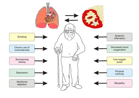 Handgrip Strength and Pulmonary Disease in the Elderly: What is the Link?