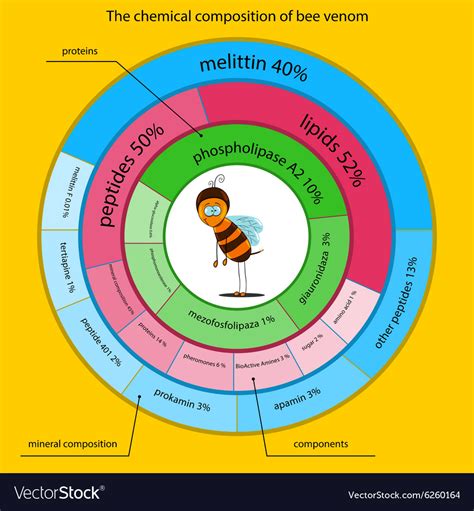 Chemical composition of bee venom Royalty Free Vector Image