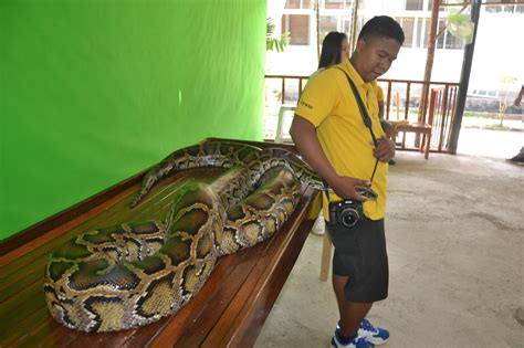 Palawan: Palawan Wildlife Rescue and Conservation Center