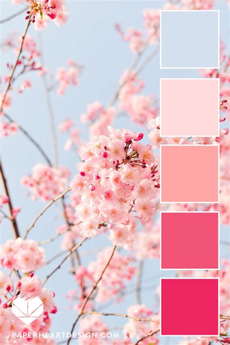 Pin on palette couleur