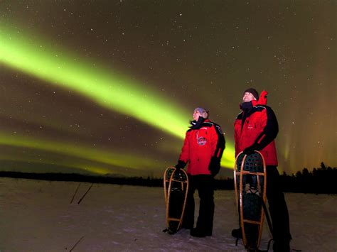 Aurora Borealis Tour | Experience the Beauty of Whitehorse