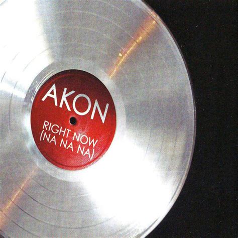 Top 10 Best Akon Songs of His Career