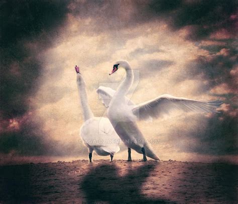 Swans love by AGA-cz on DeviantArt