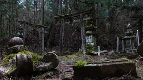 Okunoin, Japan [OC] - A monk graveyard with more than 200 000 gravestones, founded ~800 A. D ...