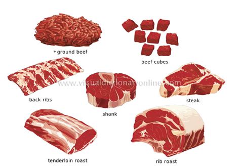 FOOD & KITCHEN :: FOOD :: MEAT :: CUTS OF BEEF image - Visual ...