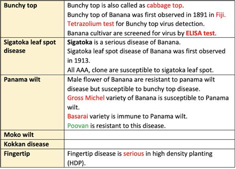 Banana