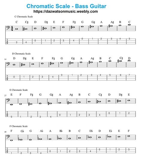 chromatic scale for bass guitar | Bass guitar, Bass, Bass guitar tabs