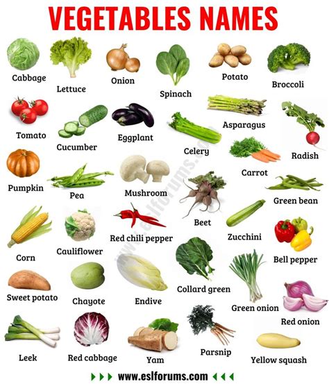 Vegetable Names: Learn Different Types of Vegetables with Pictures