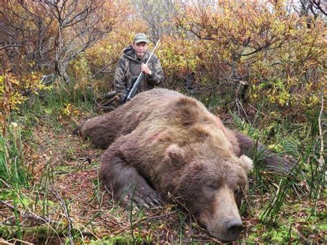 10 - DAY BROWN/GRIZZLY BEAR & BLACK BEAR HUNT FOR 1 HUNTER ALASKA TROPHY ADVENTURES - WSF World ...