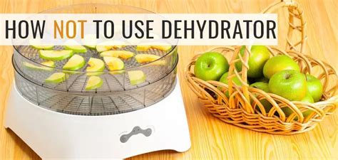 11 Things You Shouldn't do when Using Dehydrator - Dehydrator Spot