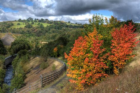 Bargoed Woodland Park Photograph by Steve Purnell