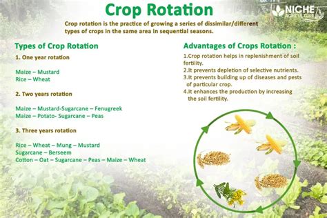 Crop Rotation-Important Component of Organic Farming