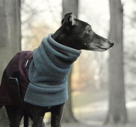 WHIPPET Winter Dog Coat Winter Coat for Dogs Waterproof | Etsy in 2020 | Dog winter coat ...