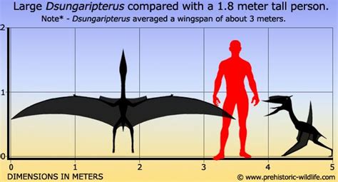 Top 10 Standout Pterosaurs | Prehistoric wildlife, Megafauna, Prehistoric