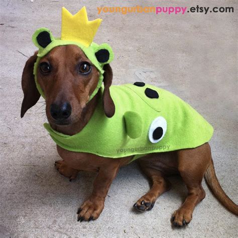 Angry Birds Dog Costume | Gadgetsin