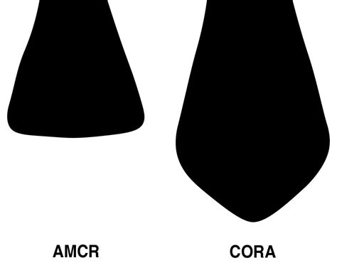 American Crow vs Common Raven Identification