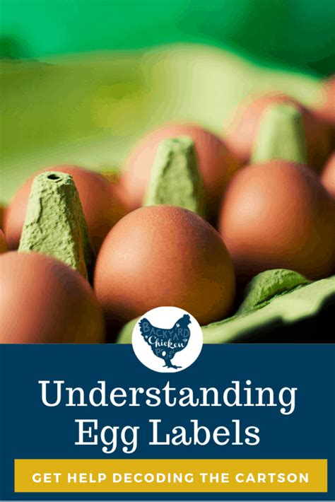 Understanding Egg Labels: Decoding the Grocery Store Egg Carton - Backyard Chicken Project