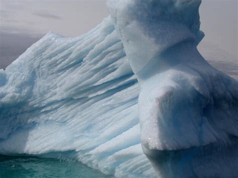 Premium Photo | Floating iceberg greenland