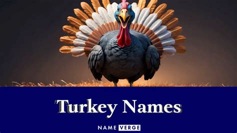 Turkey Names: 323+ Funny Names For Your Cool Pet Bird