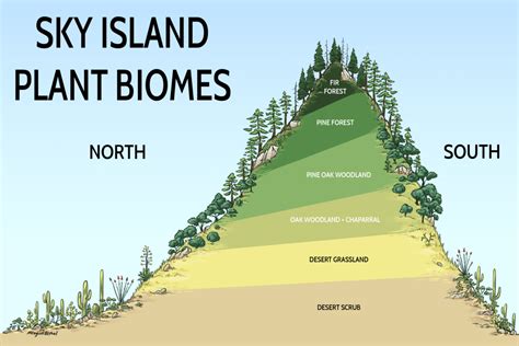 What ARE the Sky Islands? - Visit the Sky Islands of Arizona