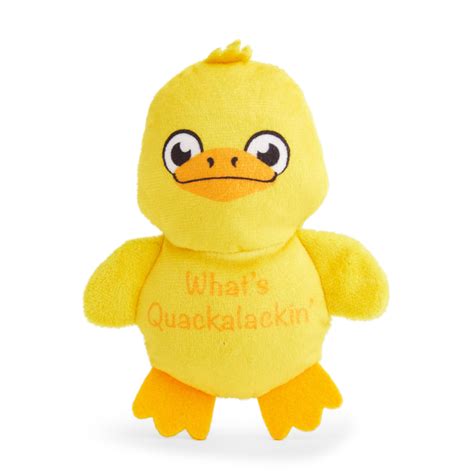 Petco Plush Duck Dog Toy, Small | Petco