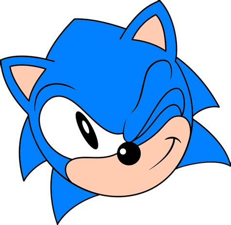 Sonic The Hedgehog Clipart Face Sonic The Hedgehog Head Png The Best ...