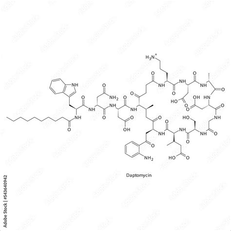 Daptomycin flat skeletal molecular structure Lipopeptide antibiotic drug used in treatment ...