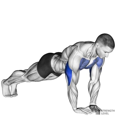 Diamond Push Ups Standards for Men and Women (lb) - Strength Level