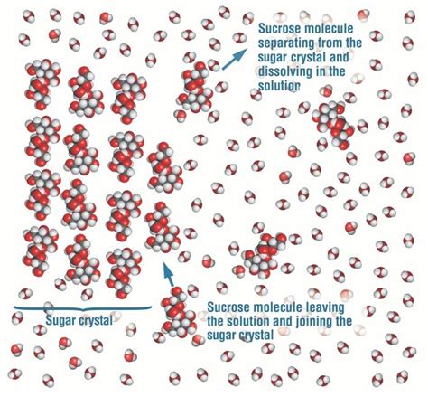 Sugar crystal dissolving in water with sucrose molecules leaving or joining the crystal ...