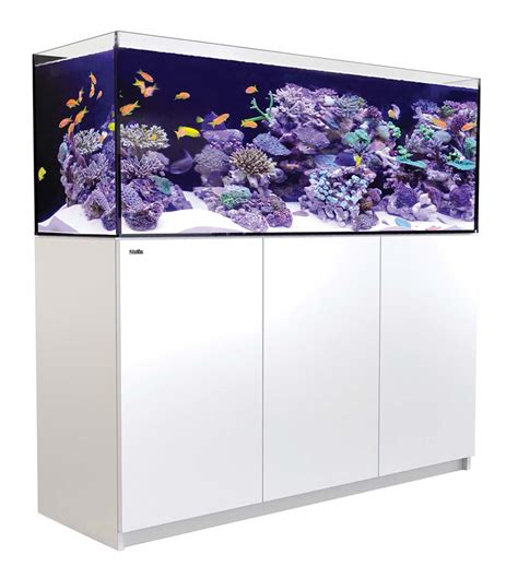 Red Sea REEFER XL 525 G2+ Rimless Aquarium 139 Gallon | The Fish Room