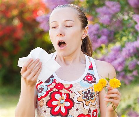 Seasonal Allergies (Hay Fever): Causes, Symptoms, Precautions ...